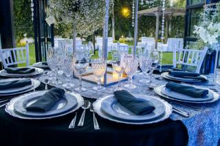 Vaisselle professionnelle : choisir pour un restaurant ou un traiteur